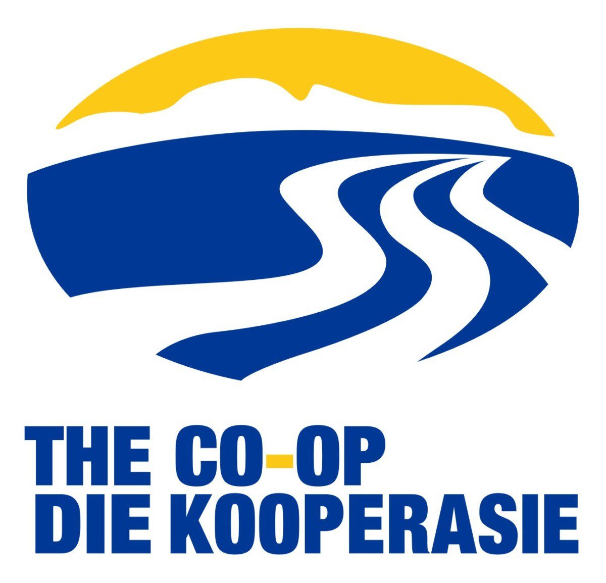 https://www.ssk.co.za/en/